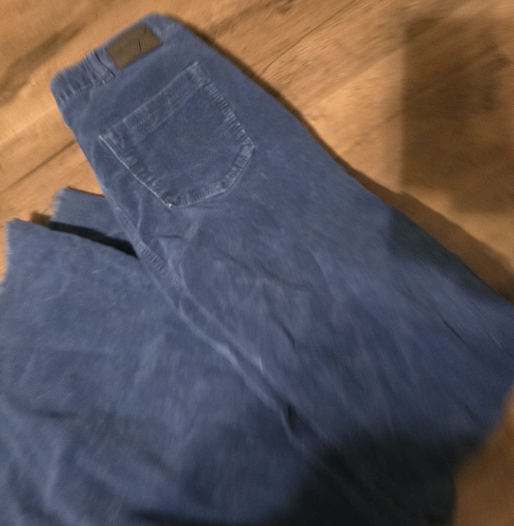 Corduroy High Rise Button Fly Flares